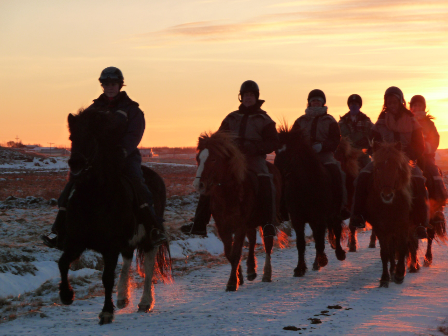 Iceland -Ride, Hot Springs and Whales!